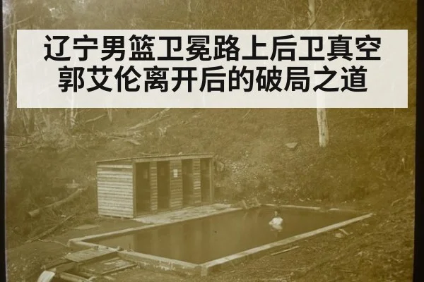 辽宁男篮卫冕路上后卫真空 郭艾伦离开后的破局之道